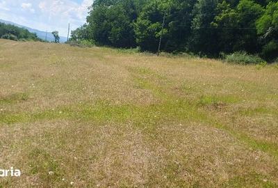 Teren de 7200 mp, în Someș-Odorhei - 3