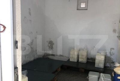 Afacere la cheie + casa, 160mp, Baraitaru - 2