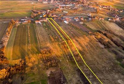 Teren Construcții intravilan de 5342 mp, în Hotar - 6