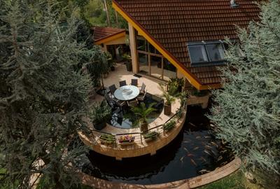 Vila grandioasa, Gradina Japoneza, SPA, Crama, Teren Tenis, Foisor, Iaz Pesti - 4