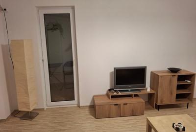 Garsoniera  eleganta renovata integral la prima inchiriere in zona Tineretului - 5