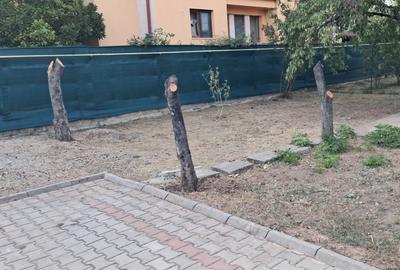 Vanzare casa individuala Otopeni, P+1+Pod, amprenta 130 mp, teren 780 mp - 16