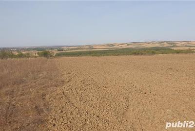 Teren de 10900 mp, în Oncea - 1