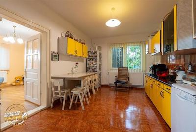 FILM&3D! Doua case cu:piscina,foisor,arbori decorativi,1.700mp teren,Lutoasa,Cov - 37