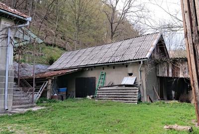 Proprietate Brad, Hunedoara - 4