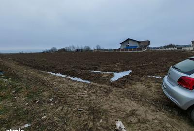 Teren de 8918 mp, în Sărata - 11