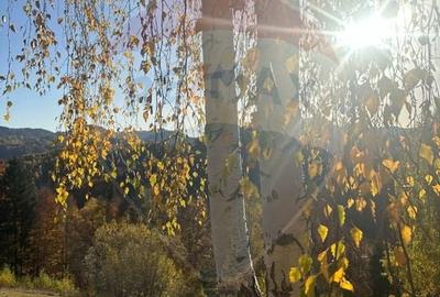 Oportunitate de investiție ! Teren de vis în Pestera - 125.370 mp - 20