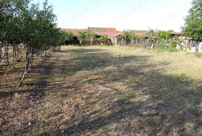 Casă cu Teren 1129 Mp în Berliște - 4