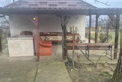 Casa cu 2 camere, 65 mp, teren 2910 mp, in Viile Satu Mare - 3