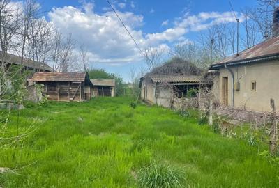 Casă cu 3 camere în Boldești