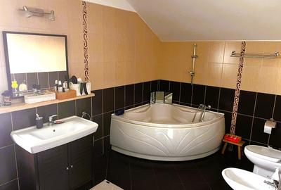 Vila cu piscina Iancu Nicolae Vila cu piscina Iancu Nicolae - 7