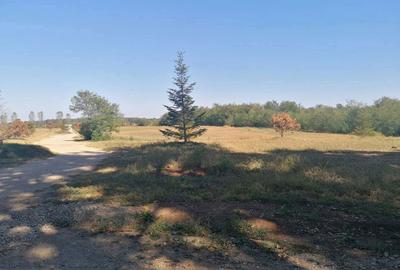 Teren de 4350 mp, în Bălteni - 10