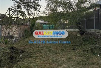 Casă cu 10 camere cu Teren 443 Mp în Aleea Trandafirilor - 10