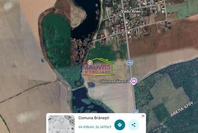 Teren intravilan în Brănești