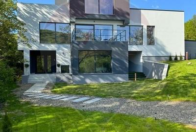 Proprietate specială, de 280 mp, în Almaș - 54