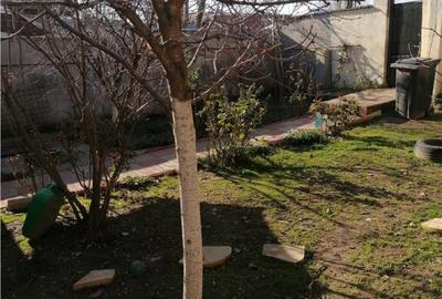 Casa 4 camere si teren in Glina - 10