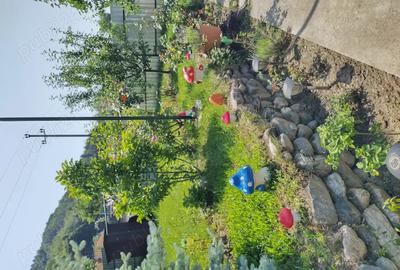 Casa de vacanta - 10