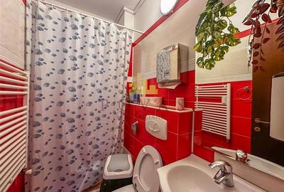 Inchiriere Apartament Spatiu Birou Dorobanti - 11