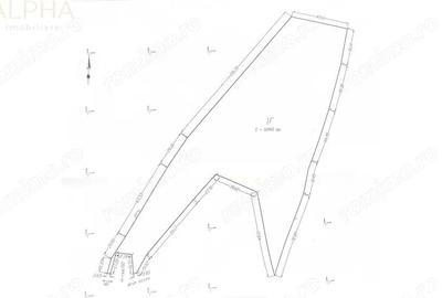 Teren de 16945 mp, în Colibița - 5