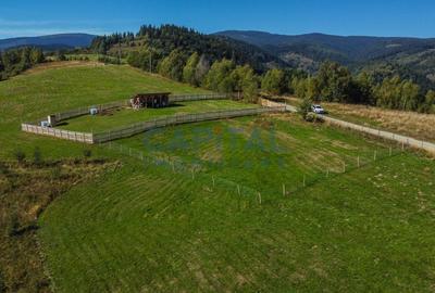 Comision 0% teren intravilan 1000 mp, PUZ, priveliste, Baisoara - 6