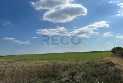 Teren de 25100 mp, în Sântandrei - 1