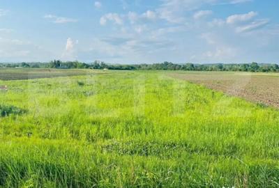 Teren de 5521 mp, în Central