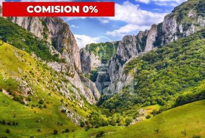 Spațiu comercial, în Petrești - 15