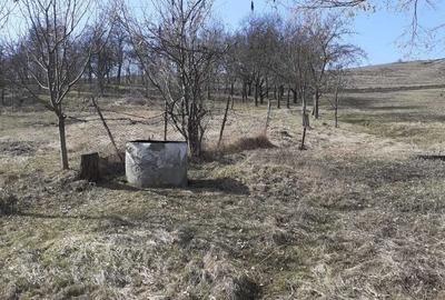 Casă cu 3 camere în Miceștii de Câmpie - 4