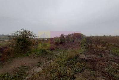 Teren în Corbeanca - 3