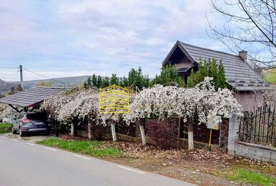 Casa singur in curte Maiad - 7