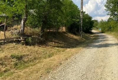 Casă cu 2 camere în Blahnița de Sus - 5