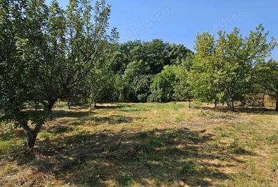 Casă cu 4 camere în Ghirdoveni - 1