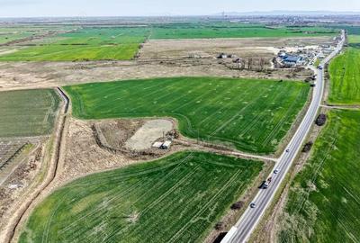 Teren de 5229 mp, în Vest - 7