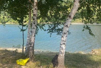 Teren de 9109 mp, în Rusca - 1