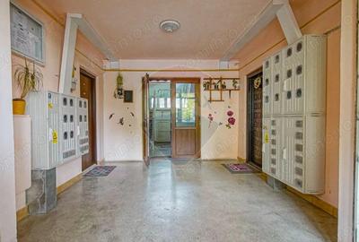 Apartament 3 camere, Florilor, Aleea Mimozei - 2