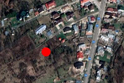 Teren de 2641 mp, în Viforâta - 1