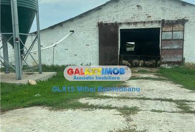 Ferma zootehnicaFunctionala zona Tomsani - 5