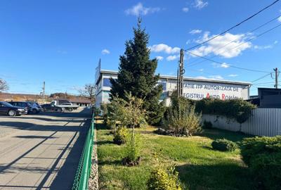 SERVICE AUTO Ultramodern (Business ultraprofitabil la cheie - 1