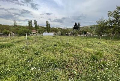 Casă cu 3 camere în Măderat - 1