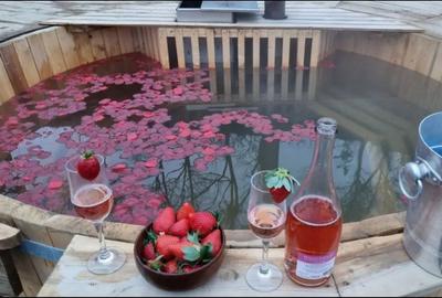 Casă cu 3 camere cu Teren 10000 Mp în Feldru - 4