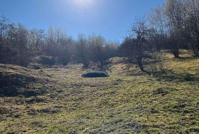 Teren de 4300 mp, în Breaza - 20