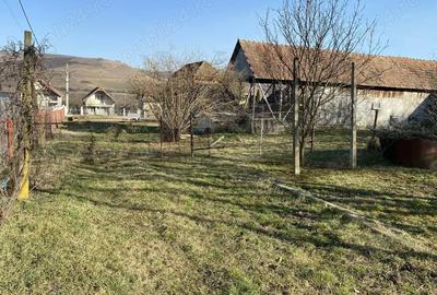 Casă cu 2 camere în Central - 1