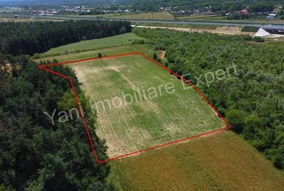 Teren de vanzare in comuna Baicule?ti, Judet Arge?. - 4