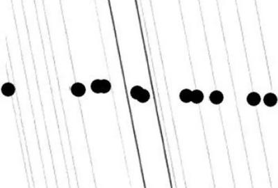 Teren de 6000 mp, în Vârlezi - 4