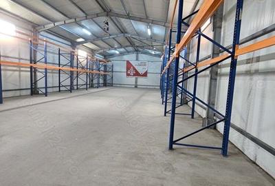 Spațiu comercial, de 400 mp, în Remuș - 7