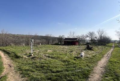 Teren de 2500 mp, în Central