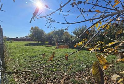 Teren Vetis, 3 parcele de 600mp , zona linistita cu strada asfaltata Teren Vetis, 3 parcele de 600mp , zona linistita cu strada asfaltata - 2