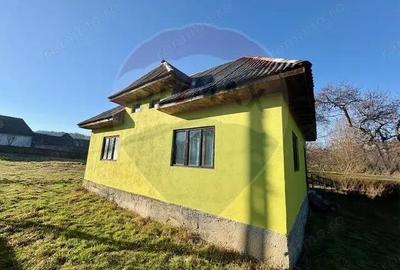 Casă cu 3 camere cu Teren 2097 Mp în Sârbi (Budești) - 11