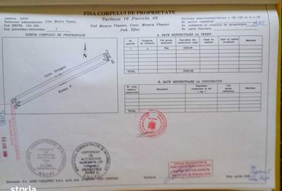 Teren de 5000 mp, în Moara Vlăsiei - 2