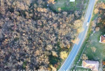 TEREN 4055 MP, DESCHIDERE 28 ML - 2